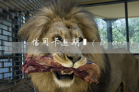 信用卡逾期報(bào)案后多久立案