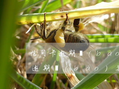 信用卡逾期報(bào)案后怎么辦(信用卡逾期報(bào)案了警察會(huì)怎么通知你)