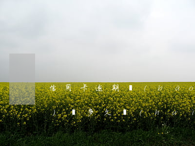 信用卡逾期報(bào)案后經(jīng)偵多久會(huì)傳喚-信用卡逾期報(bào)案后經(jīng)偵多久會(huì)傳喚家屬
