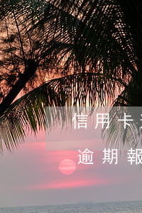信用卡逾期報(bào)案是否有效(信用卡逾期報(bào)案處理會(huì)怎么樣)