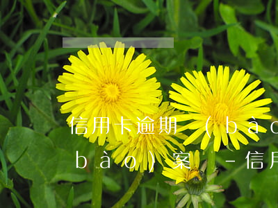 信用卡逾期報(bào)案是在戶籍地報(bào)案嗎-信用卡逾期報(bào)案是在戶籍地報(bào)案嗎