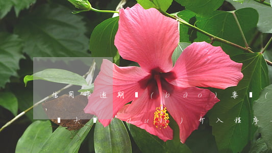 信用卡逾期報(bào)案經(jīng)偵大隊(duì)介入程序-信用卡逾期報(bào)案經(jīng)偵大隊(duì)介入程序怎么寫