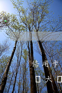 信用卡逾期報(bào)案經(jīng)偵大隊(duì)傳喚(信用卡逾期報(bào)案經(jīng)偵大隊(duì)傳喚會怎么樣)
