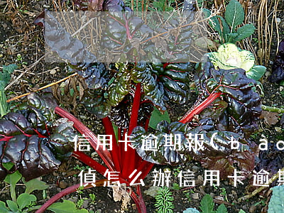 信用卡逾期報(bào)案經(jīng)偵怎么辦(信用卡逾期報(bào)案經(jīng)偵怎么辦)