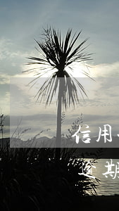 信用卡逾期報(bào)案通知格式(信用卡逾期收到報(bào)案通知)