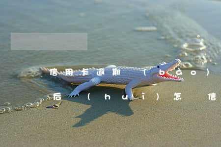 信用卡逾期報(bào)經(jīng)偵后會(huì)怎樣(信用卡逾期報(bào)經(jīng)偵后會(huì)怎樣)