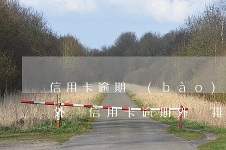 信用卡逾期報(bào)經(jīng)偵外訪(信用卡逾期外訪排查是什么意思)