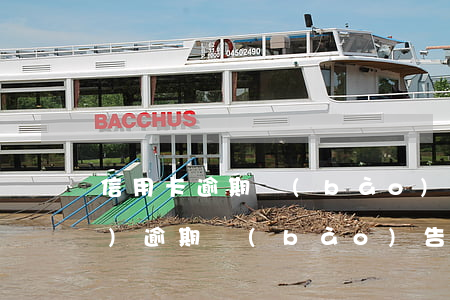 信用卡逾期報(bào)表怎么寫(xiě)(逾期報(bào)告情況說(shuō)明)