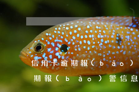 信用卡逾期報(bào)警信息函 信用卡逾期報(bào)警信息函是什么