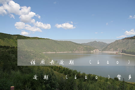 信用卡逾期報(bào)警多久抓人(信用卡逾期報(bào)警多久抓人有效)
