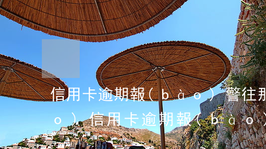 信用卡逾期報(bào)警往那里報(bào)(信用卡逾期報(bào)警了怎么辦)