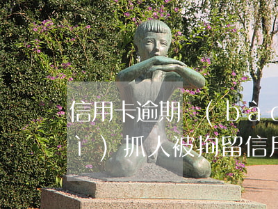 信用卡逾期報(bào)警要多久會(huì)抓人(被拘留信用卡逾期會(huì)怎么樣)