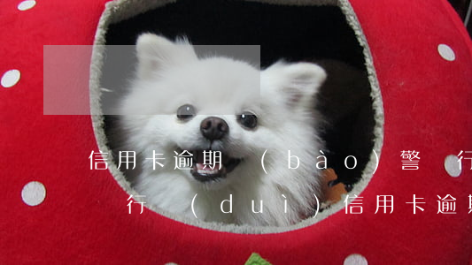 信用卡逾期報(bào)警銀行有什么損失(銀行對(duì)信用卡逾期怎么處理)