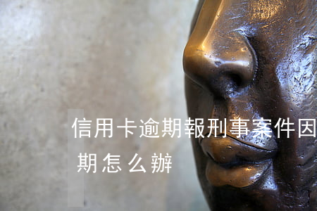 信用卡逾期報刑事案件(因刑事案件信用卡逾期怎么辦)