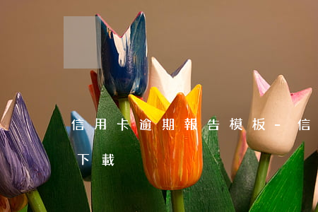 信用卡逾期報告模板-信用卡逾期報告模板下載
