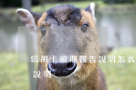 信用卡逾期報告說明(怎么寫信用卡逾期情況說明)