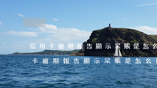信用卡逾期報告顯示呆賬是怎么回事-信用卡逾期報告顯示呆賬是怎么回事啊