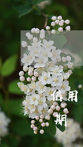 信用卡逾期報案了幾個月來抓人-信用卡逾期報案了幾個月來抓人怎么辦