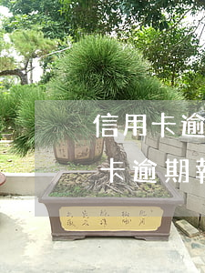 信用卡逾期報案了幾個月來抓人怎么辦（信用卡逾期報案了幾個月來抓人）