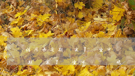 信用卡逾期報案了會坐牢嗎嗎貼吧(信用卡逾期報案了會坐牢嗎嗎貼吧)