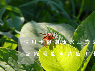 信用卡逾期報案后要還款怎么辦(有逾期還款記錄還能申請信用卡嗎)