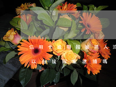 信用卡逾期報案抓人流程(信用卡逾期銀行可以直接報案逮捕嗎)