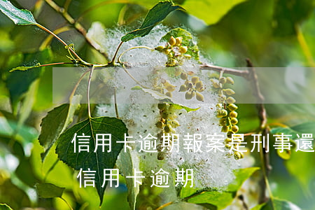 信用卡逾期報案是刑事還是民事(銀行會報案信用卡逾期)