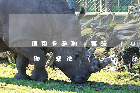 信用卡逾期報案法務(wù)部-信用卡逾期報案法務(wù)部管不管