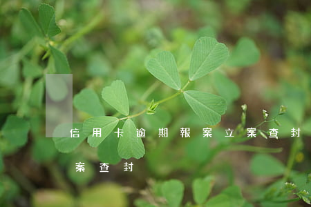 信用卡逾期報案立案查封(信用卡逾期報案立案查封)