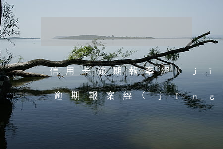 信用卡逾期報案經(jīng)偵-信用卡逾期報案經(jīng)偵大隊是干什么的