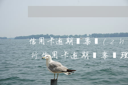 信用卡逾期報案轉(zhuǎn)接中心(銀行信用卡逾期報案處理流程)