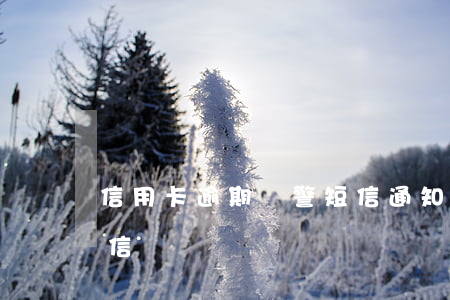 信用卡逾期報警短信通知(信用卡逾期警告短信)
