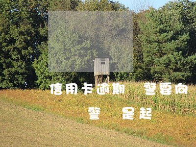 信用卡逾期報警要向戶籍地報警嗎(欠信用卡會報警還是起訴)