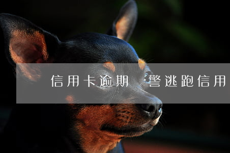 信用卡逾期報警逃跑(信用卡 逾期 詐騙)