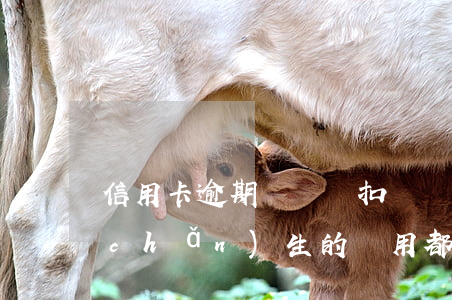 信用卡逾期墊還會扣錢嗎(信用卡逾期后產(chǎn)生的費用都是什么)