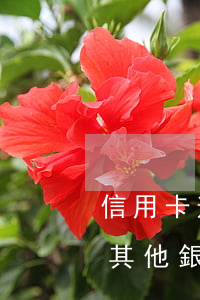 信用卡逾期增加額度嗎(有信用卡逾期會影響其他銀行信用卡提額嗎)