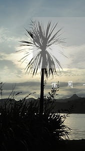 信用卡逾期壓降措施(逾期貸款壓降措施)