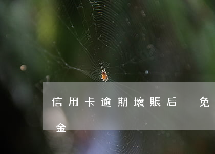 信用卡逾期壞賬后減免(減免信用卡逾期違約金)