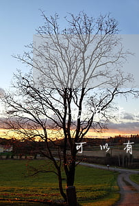 信用卡逾期壞賬后減免(為什么信用卡逾期還可以有減免)
