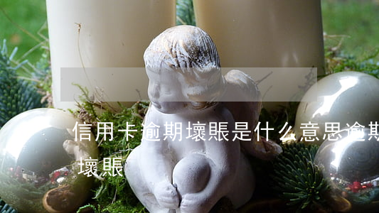 信用卡逾期壞賬是什么意思(逾期多久會變成壞賬)