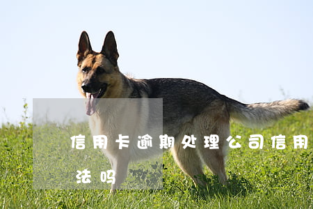 信用卡逾期处理公司(信用卡逾期处理公司违法吗)