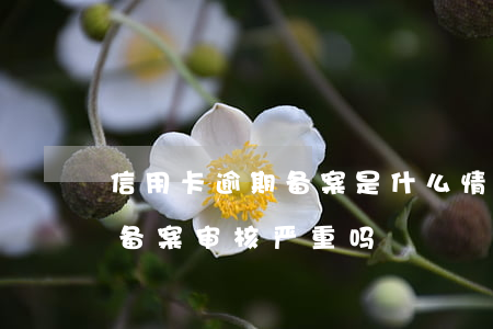 信用卡逾期备案是什么情况(信用卡逾期正式备案审核严重吗)