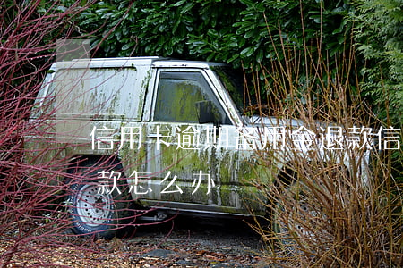信用卡逾期备用金退款(信用卡逾期备用金退款怎么办)