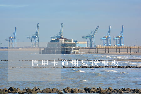 信用卡逾期复议模板