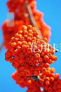 信用卡逾期外包人员会上门吗