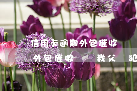 信用卡逾期外包催收騷擾我父親 信用卡逾期外包催收騷擾我父親犯法嗎