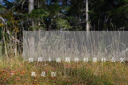 信用卡逾期外包是什么(欠信用卡外訪人家是真是假)