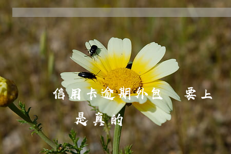 信用卡逾期外包說要上門(信用卡逾期說要上門是真的嗎)