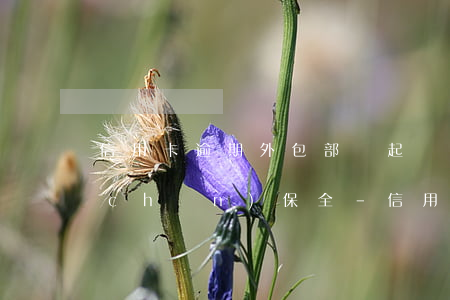 信用卡逾期外包部門起訴財(cái)產(chǎn)保全-信用卡逾期外包部門起訴財(cái)產(chǎn)保全怎么辦