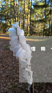 信用卡逾期外呼員(信用卡逾期外呼員)